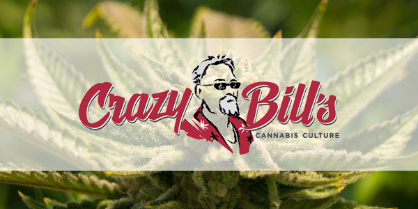 Crazy Bill's Opens A New Location In Burlington